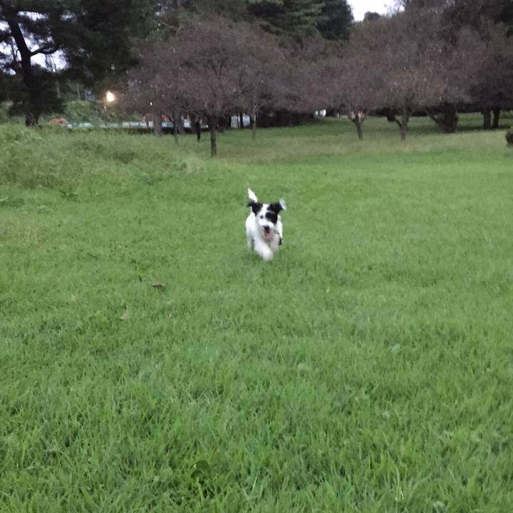 085867cc b787 4b7b b252 f578d012665e