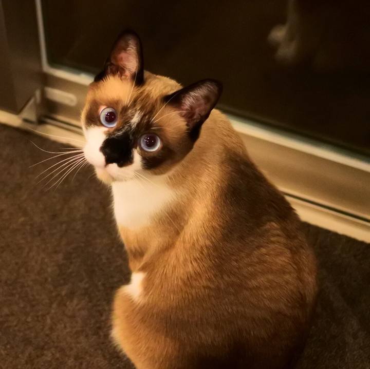 0858d422 9580 424c aa46 92f5fd712198