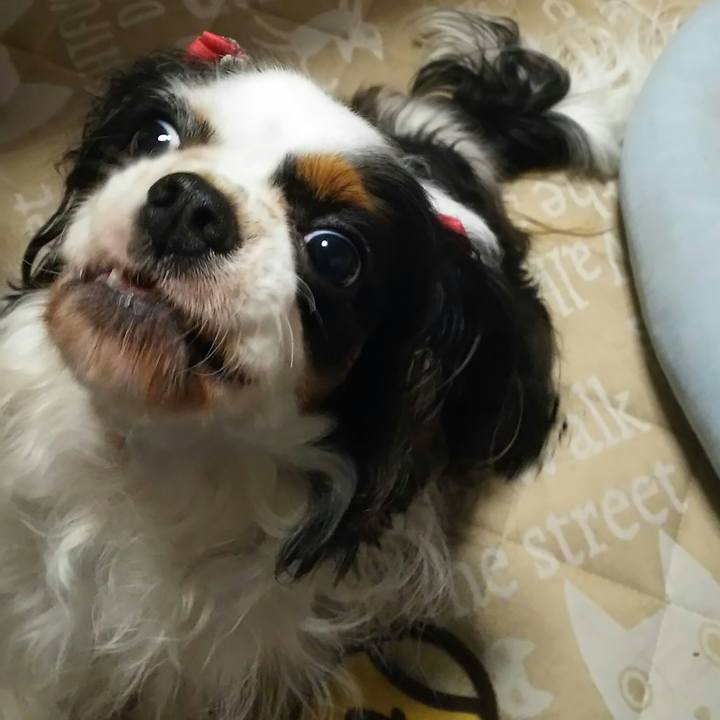 08594d80 1cca 4ec5 982e 33b53f96c9f6