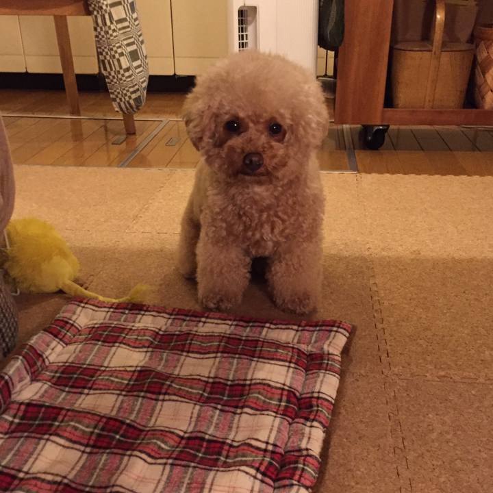 0859653f 343b 4b14 8f24 6111b073c727