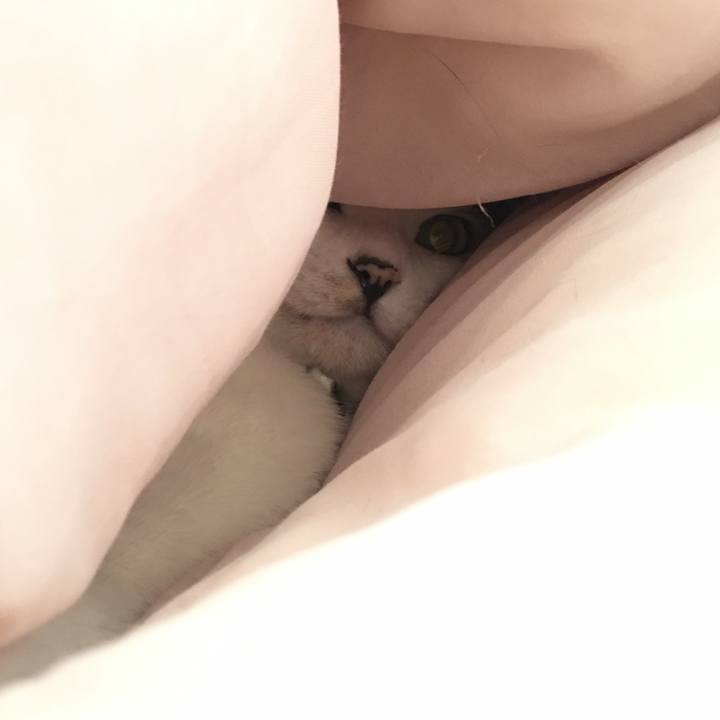 08598445 bc91 496f ad39 f62f79c9242f