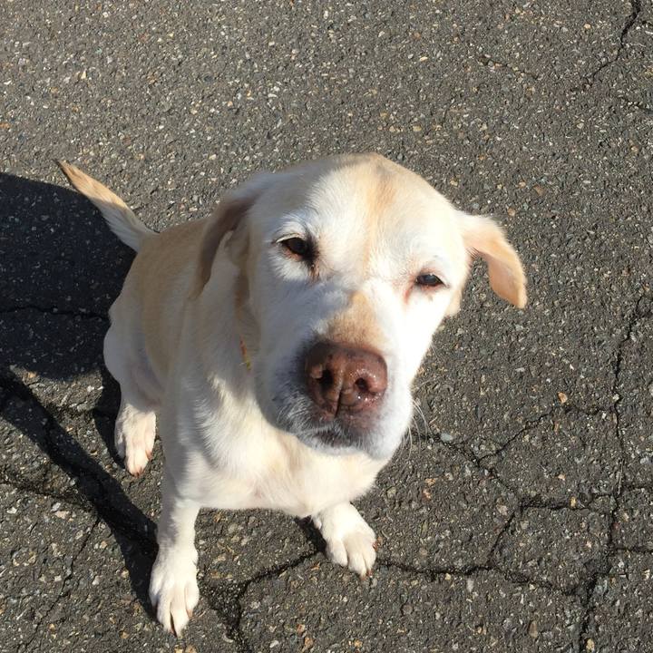 0859acd6 65b3 4a62 bc37 821fe11c575e