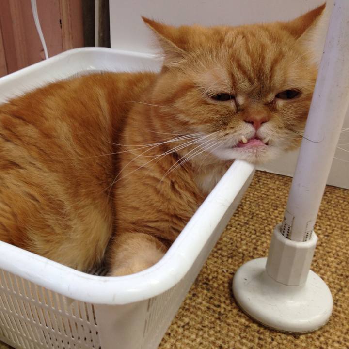 085a3f69 89af 49e0 aa48 d99c649f68ea