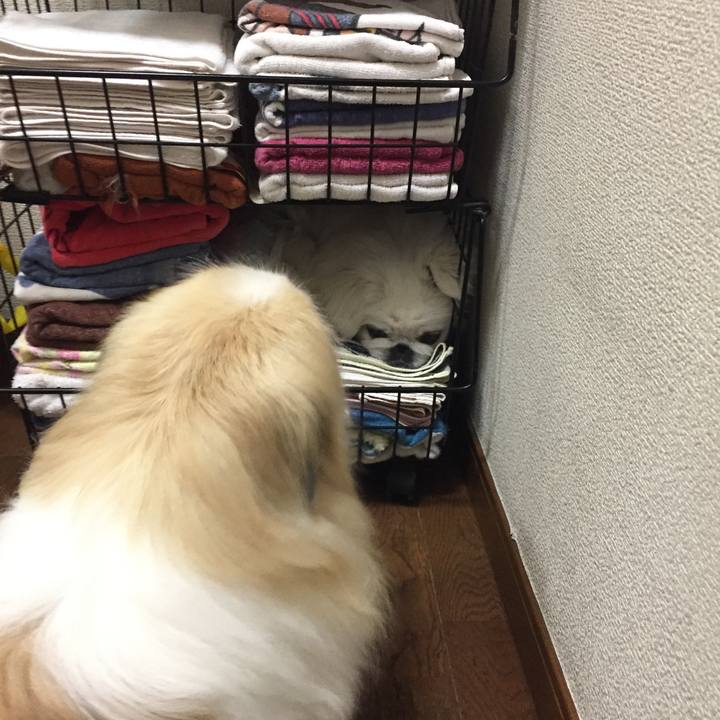 085aad30 684a 4843 89fb 903fdc813745