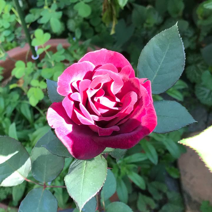 085ac9ea fc11 43c4 b4ac 3e7a32467e8d