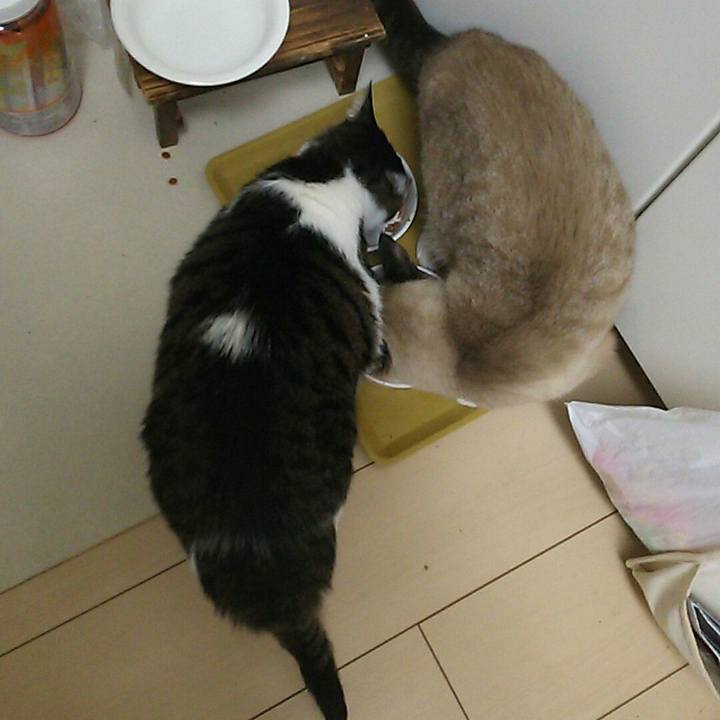 085b0d85 c17c 48d8 97e6 156542885516