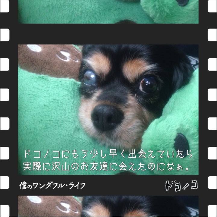 085b4202 d227 4bb7 a8ad 9d7bd313becf