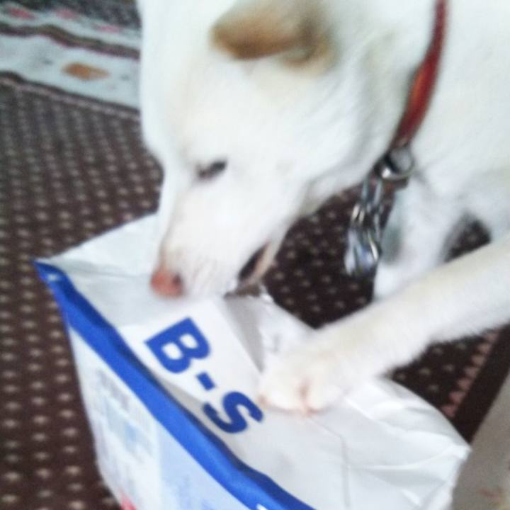 085bedc1 dbb0 48ab 9848 383a072de4e7