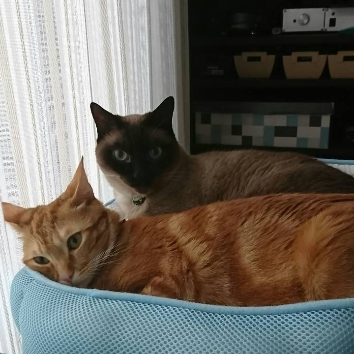 085c5c65 f5be 4902 9dbe 4b9e7ed1b6e6