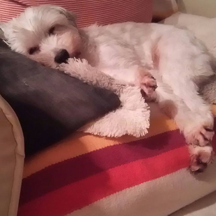 085c6beb 94ad 43e4 b7d0 c4a1bb605593