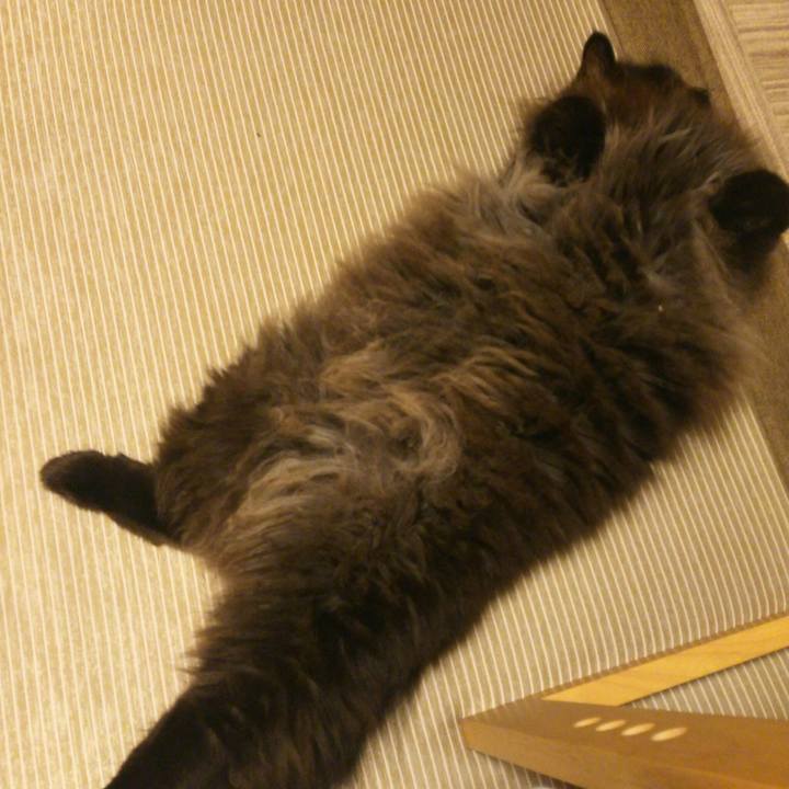 085ca2c4 815a 45a6 860b 365dfdae0ed6