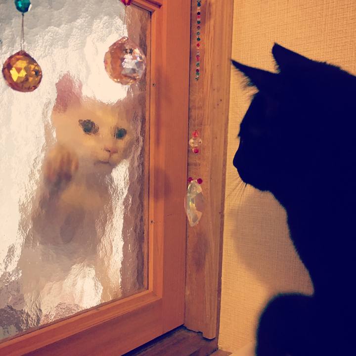 085cb3fc 0583 45f4 80ae a7fa2379f81a