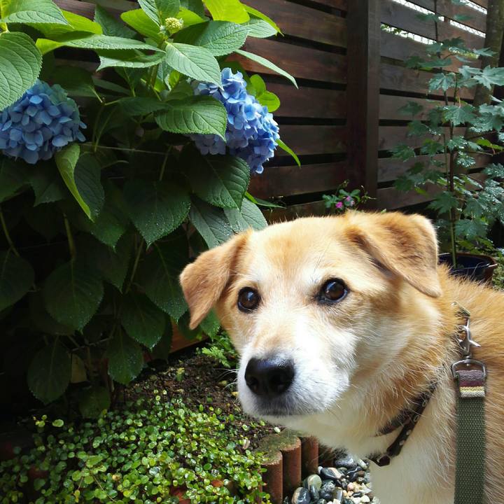 085e15a0 9490 4eb7 b30c 178da5e06826