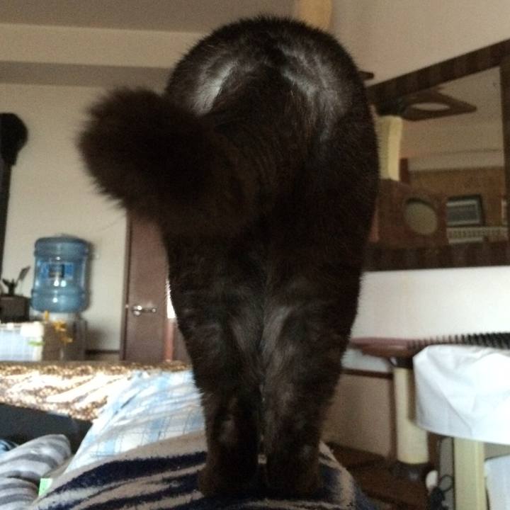 085e6722 59dc 4b19 8e42 04d44559a132