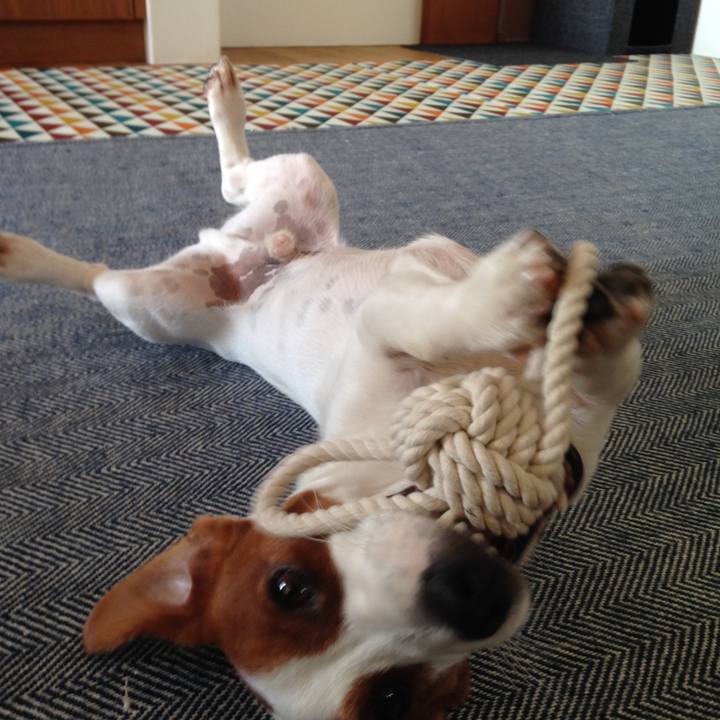 085e6d2e fd3d 4eab a164 fcab94f4edf9