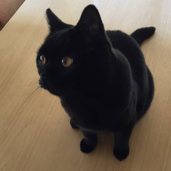 085e6dff a242 4445 9d3a 66b76f85edd2