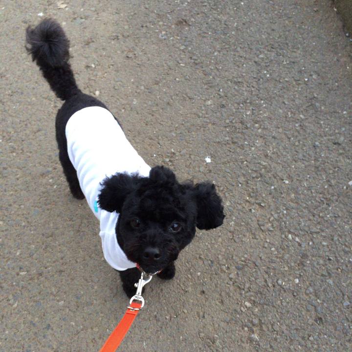 085f4dcd e59c 4f2a 9c63 66badc815912