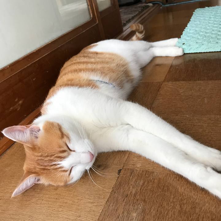 085f7bec 63ab 45b0 9dc9 c6bc282a75aa