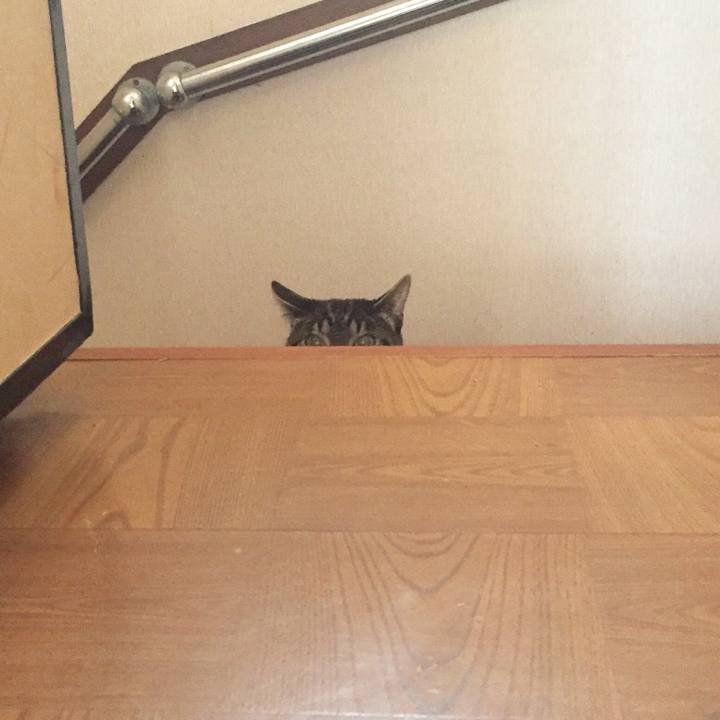 085fc719 f097 4329 918a cf11811241c1