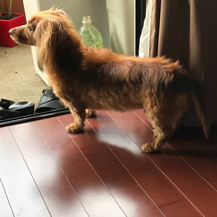 086028f9 a479 4238 b091 87ca6ac8d516