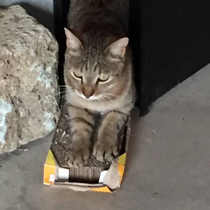 0860ee72 d095 48e0 8262 0f2d127c1b49