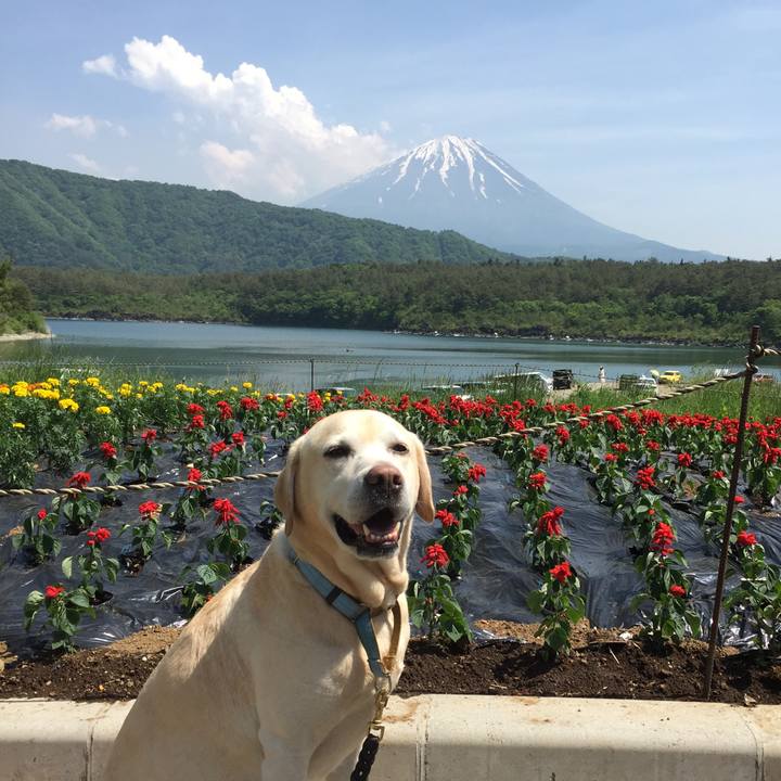 0861b8a5 8c9d 4639 b81a a76a10308102