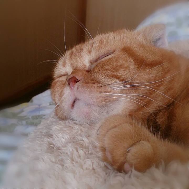 0862a15f 8962 46d7 8a6a 94b8c5b612fb