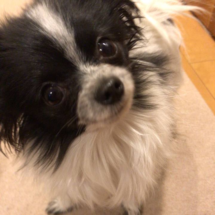 0862b063 8500 4062 9839 b616841577df