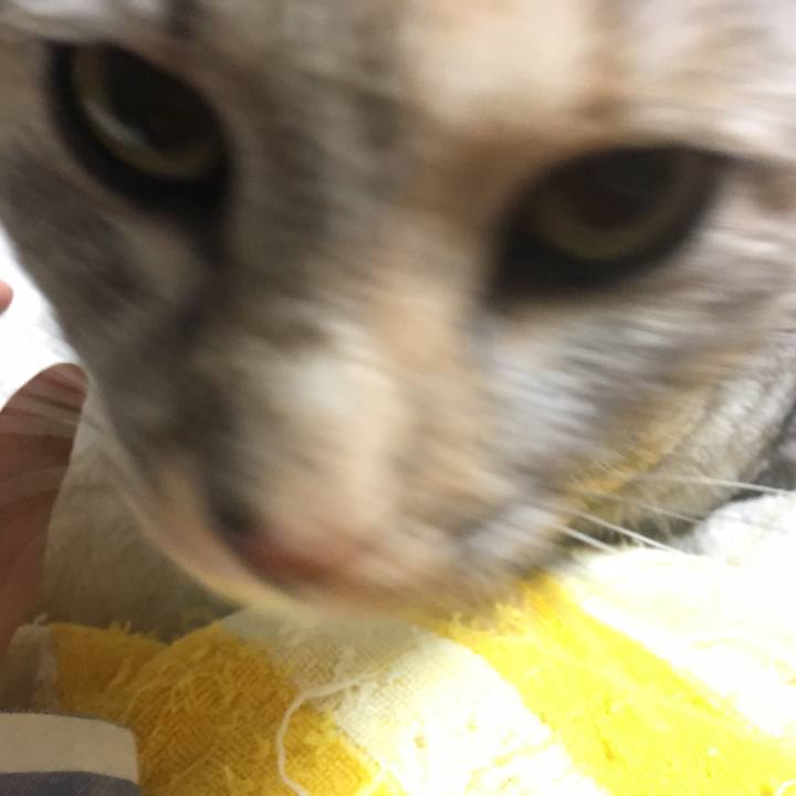 08631852 be5e 469b b491 94e6bc387161