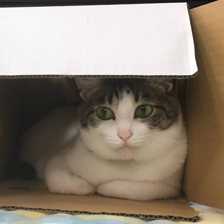 0863d714 1cf5 41b5 ace2 40f1c73590dc