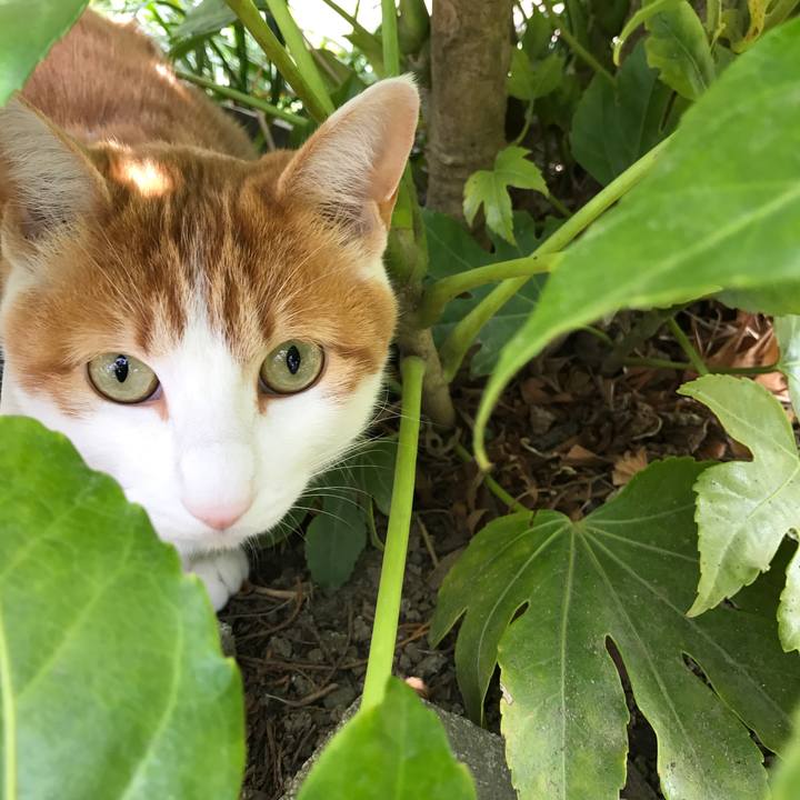 086466c7 1d8d 4a0d 941f 58a090c35b4a