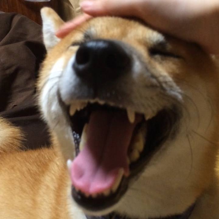 08656ecf f644 46b5 9ad7 d62c1df0de2d