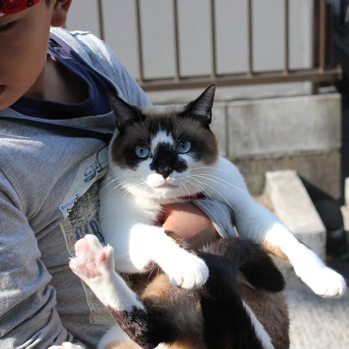 0865a465 50ad 4b2d 8e45 d612721f436e