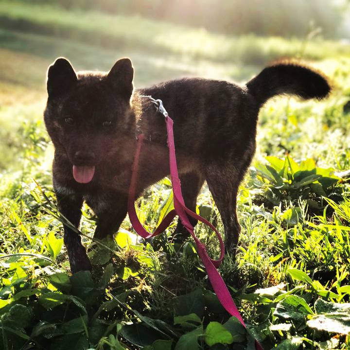 0865ccc5 d57e 4da0 a764 d0d3b5038a74