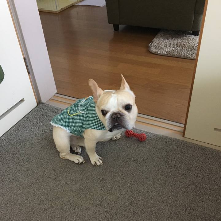 0865d943 4e16 4eb9 9088 ac99fe2eb13d