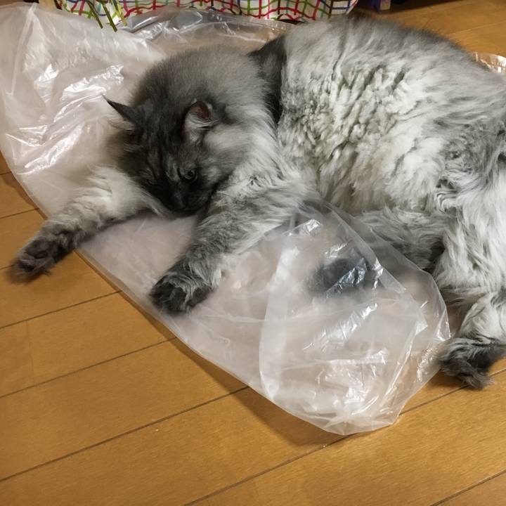 08667996 fd21 45ab aa65 ccf999e843d2