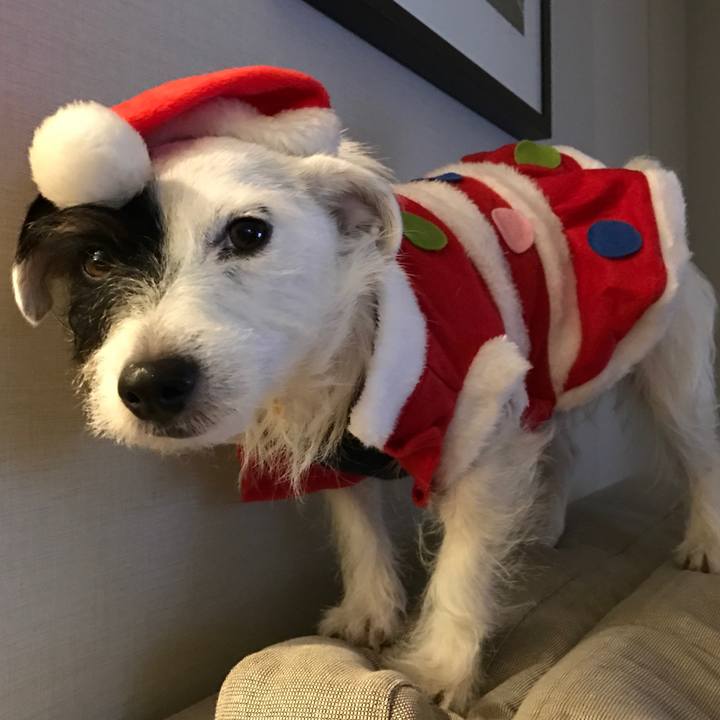 0866c629 455e 4cc7 ae06 5b0e144f6d84