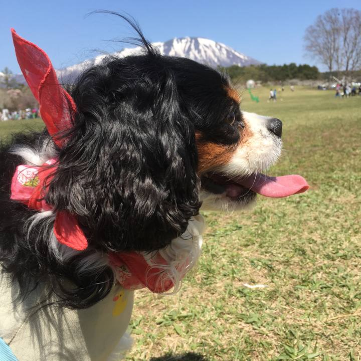 0866d5b7 6648 4d4d bd6b cd446e9b7f60