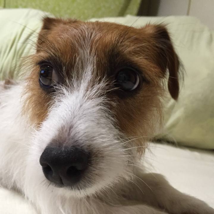 0867983e 6b42 4e49 867d 56d2f8b79d75