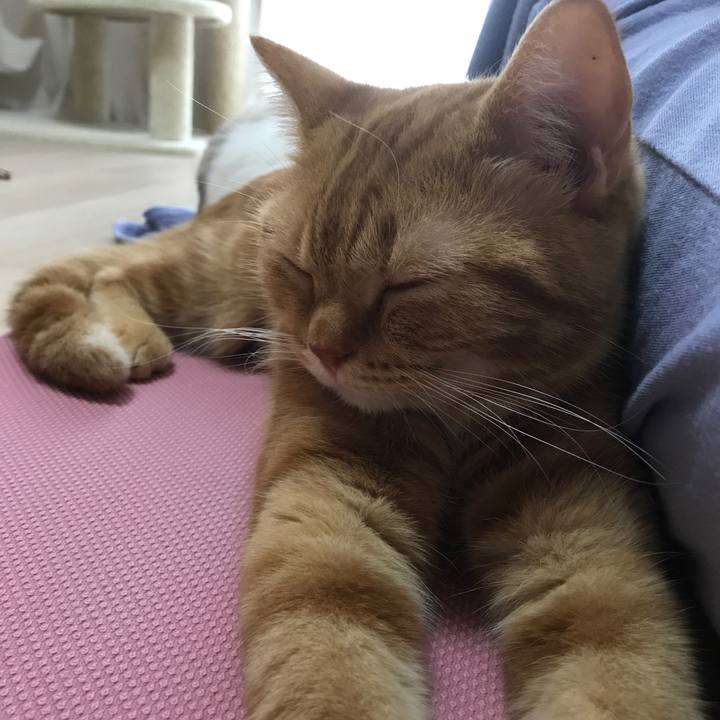 0868b7fc dc50 410d a026 b230220e5bde