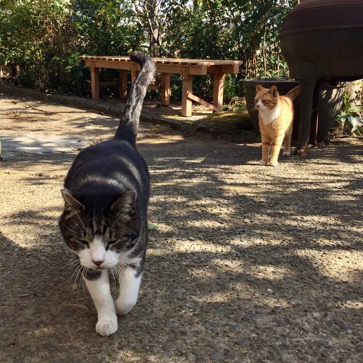 08698c80 abdf 46bd 9621 5539e7003f25