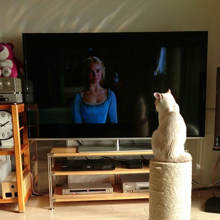 0869f7d3 d9db 4ec0 8448 e6c630c6d35e