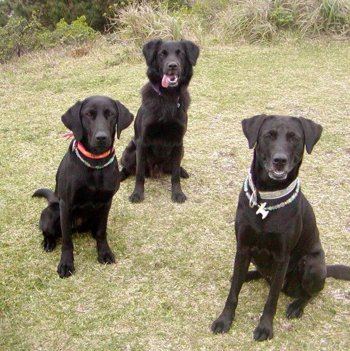 086a77ab 6c10 4ed5 a07e f1df3162a9fd