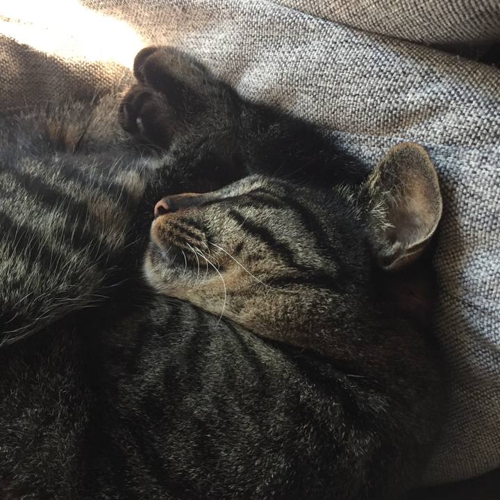 086ac101 be2a 4ef2 b914 acea693ae81d