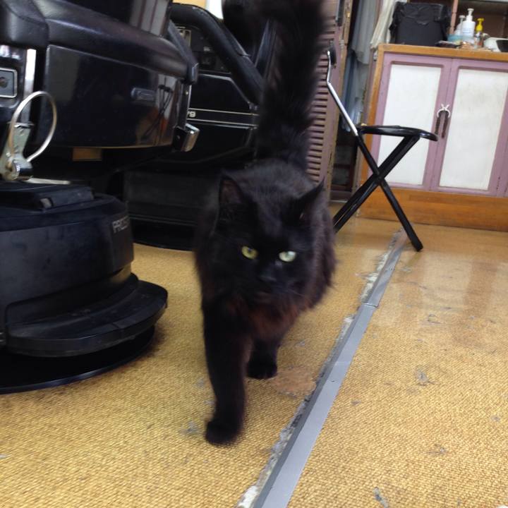 086ad539 0829 4d19 b143 8c5a79b003d4