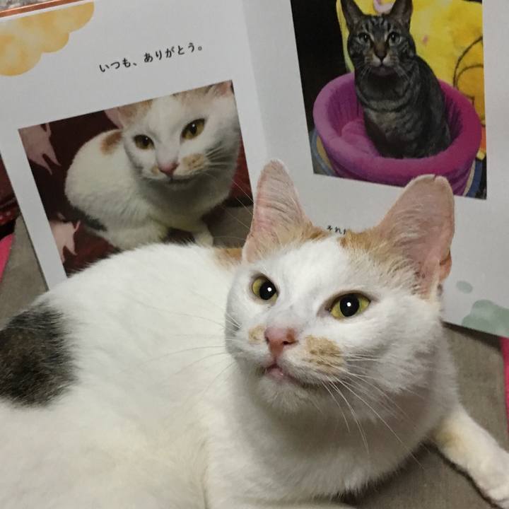 086b7080 01c9 4e32 8e46 4dd43509f45e