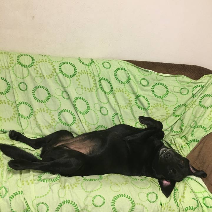 086b7e3b e615 4ad2 ada9 c9f4c0fa6dc5