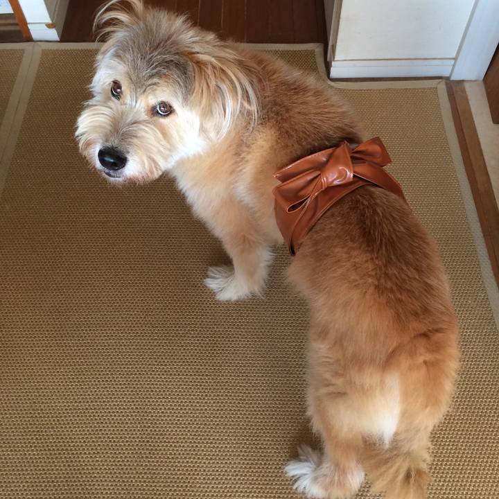 086b9e97 3027 456a bd35 1891d067e4c6