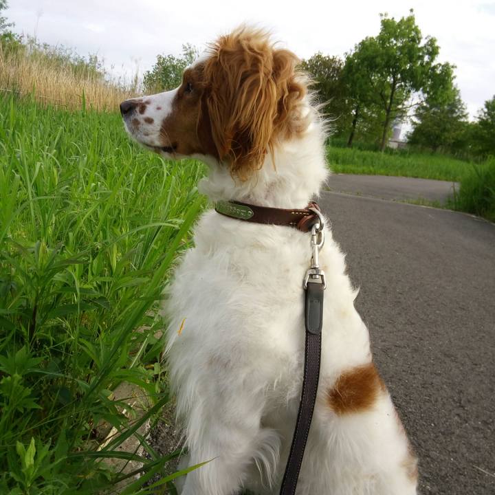 086ca16d d084 474b be19 855e512cd3bc