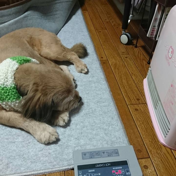 086cafd3 4e83 45b8 8dcb 5d7670fe95d7